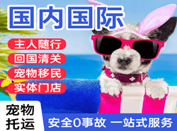 澜沧景迈机场邮寄国际宠物托运 【国